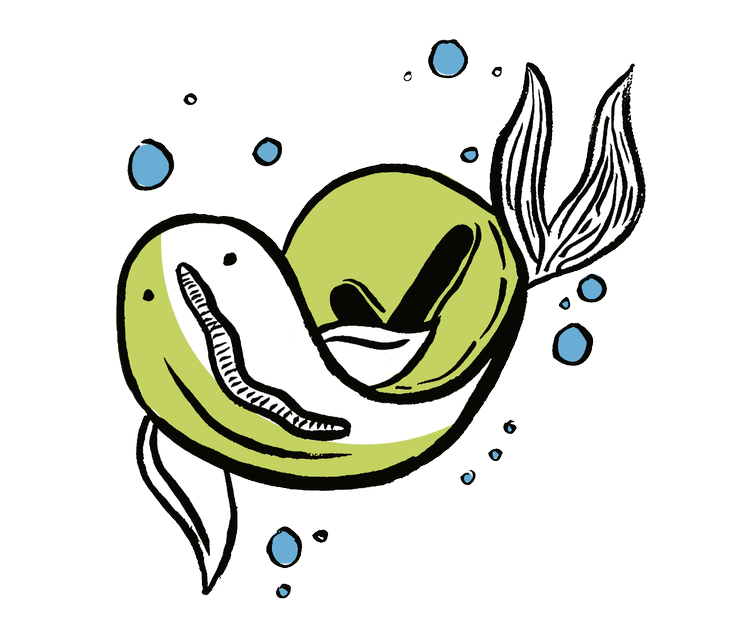 Fish with bubbles illustration